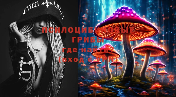 не бодяженный Медногорск