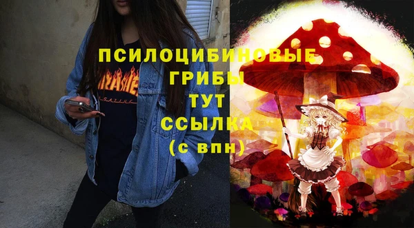 не бодяженный Медногорск