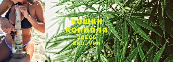 МДПВ Михайловск