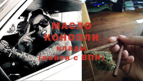 гашик Майский