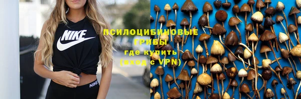 a pvp Медвежьегорск