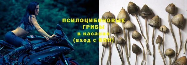 ECSTASY Мегион