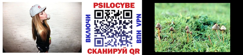 Галлюциногенные грибы Magic Shrooms  купить закладку  Минусинск 