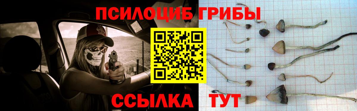 Галлюциногенные грибы ЛСД  Вход с VPN  Минусинск  Галлюциногенные грибы Psilocybine cubensis 